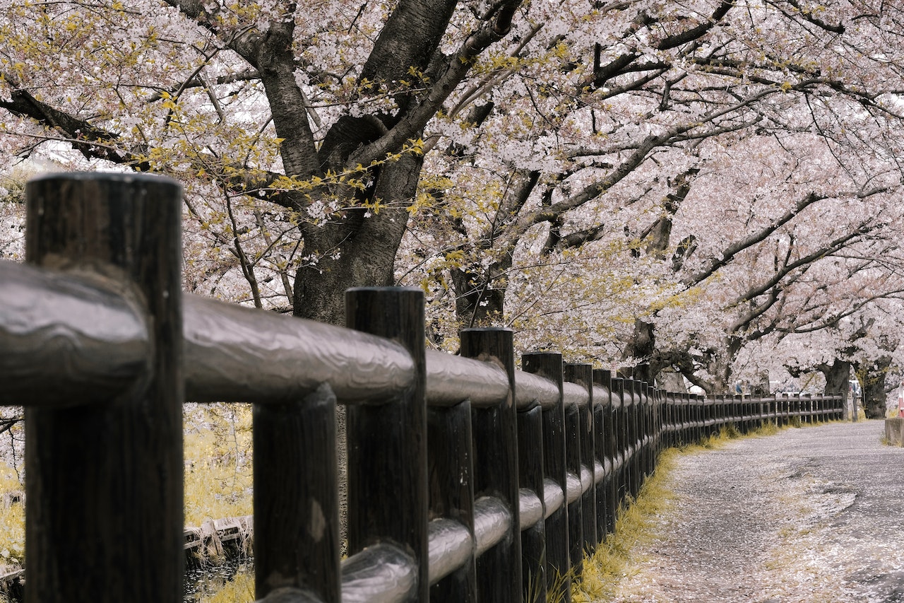 日本置產取得居留權：投資房產的同時，享受櫻花與渡假生活！
